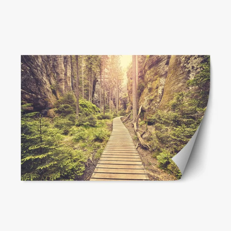 Repositionable sticker sunlit wooden path in Adrspach Teplice