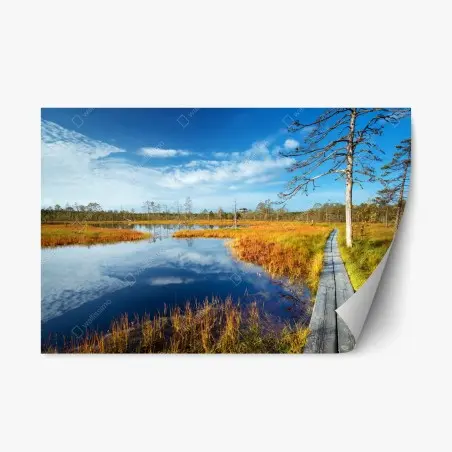 Repositionable sticker autumn boardwalk over a tranquil bog • Wallissimo®