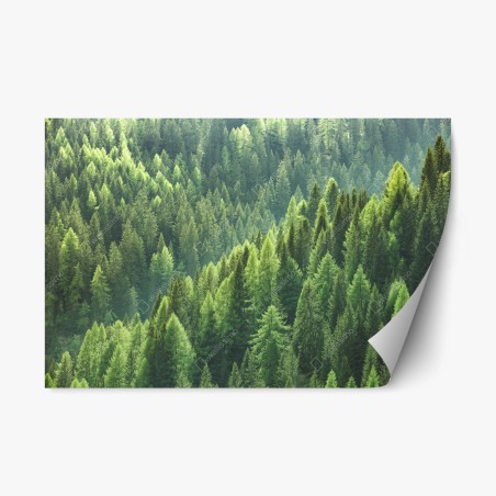Repositionable sticker lush green forest panorama • Wallissimo®