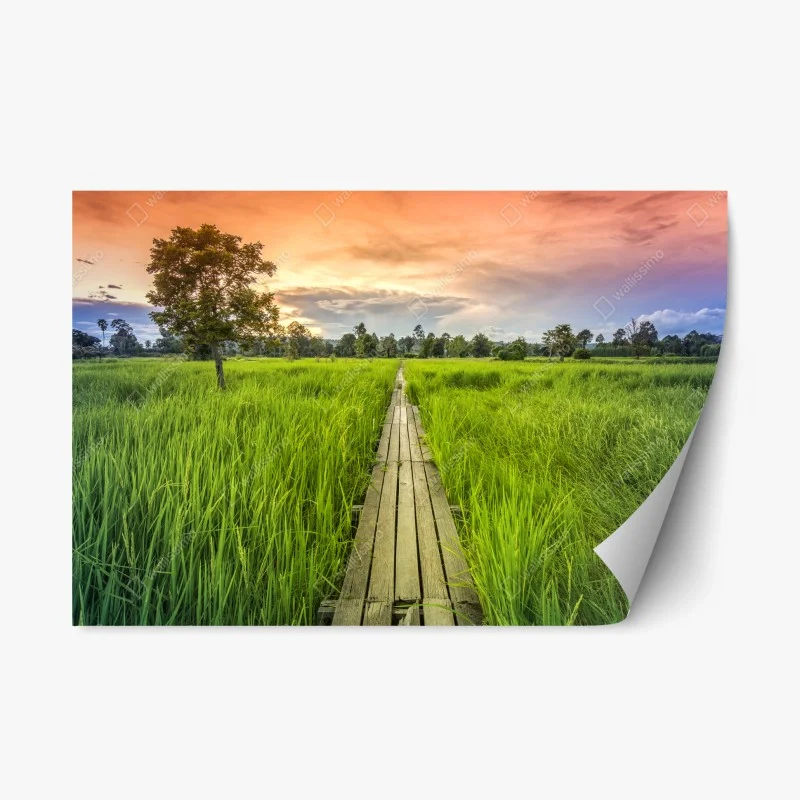 Repositionable sticker sunset over a wooden bridge in Khonburi
