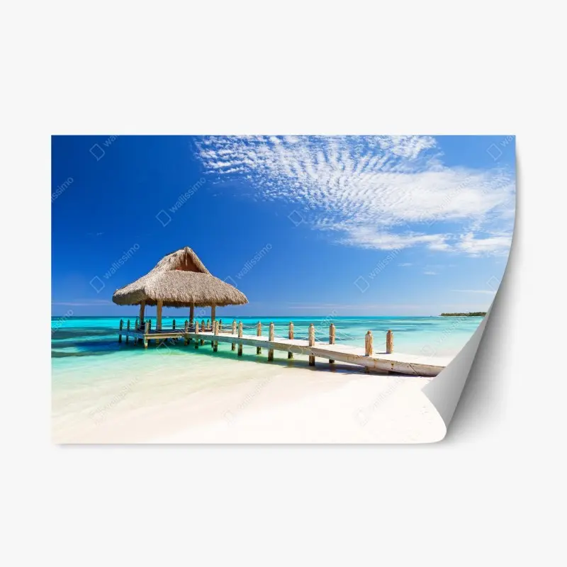 Repositionable sticker • Wallissimo®
