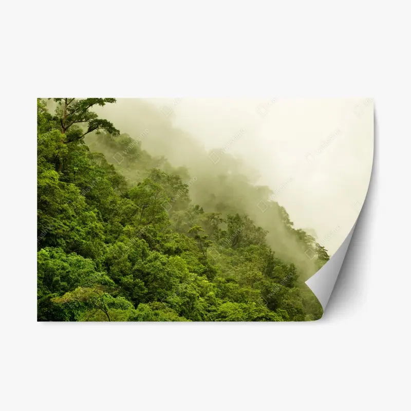 Repositionable sticker sunny flower-filled courtyard with green doors • Wallissimo®