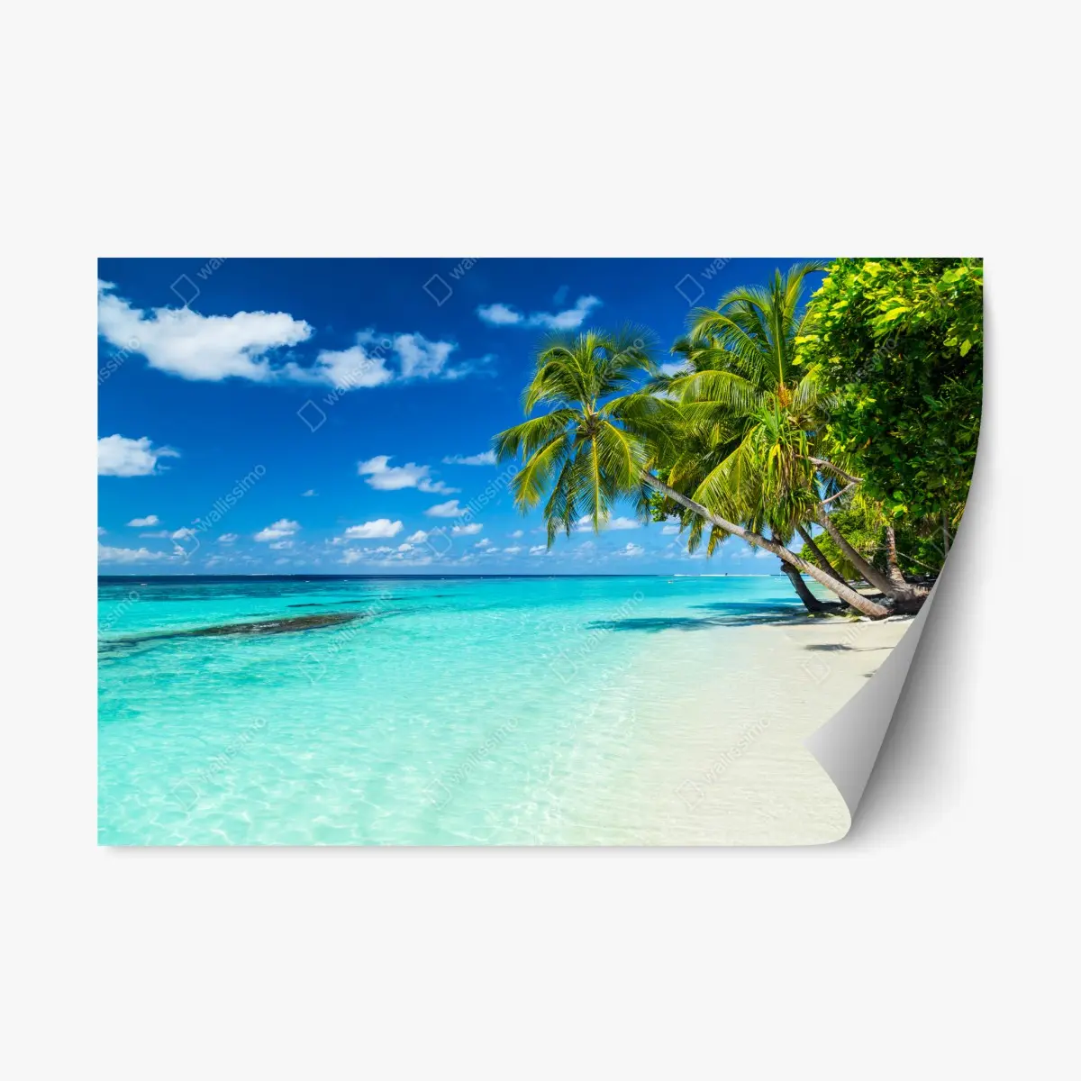 Repositionable sticker tropical turquoise beach with leaning palms • Wallissimo® Repositionable sticker tropical turquoise beach with leaning palms • Wallissimo®