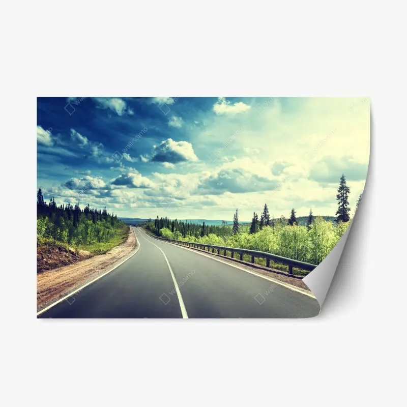 Repositionable sticker sunlit forest road to the horizon