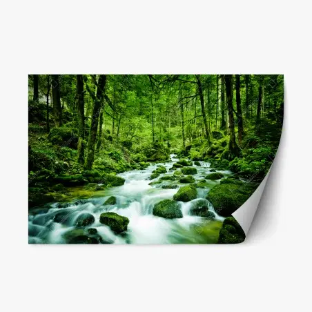Repositionable sticker mossy forest stream • Wallissimo®