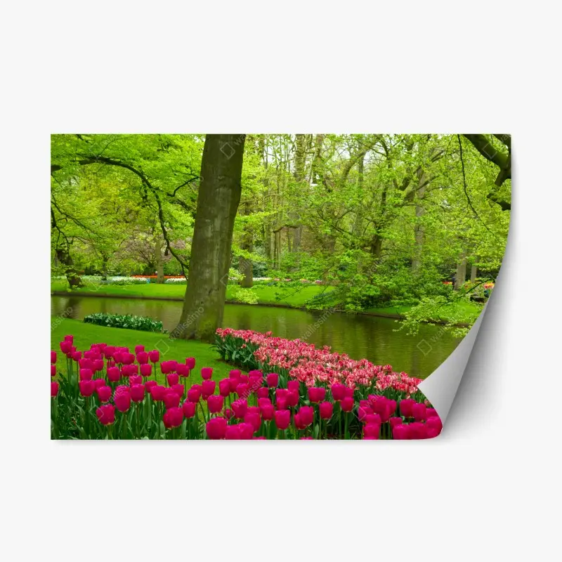 Repositionable sticker spring tulip garden by the canal