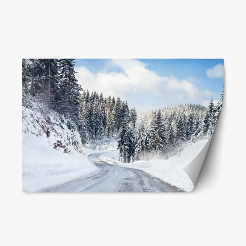 Repositionable sticker winter road through snowy fir forest
