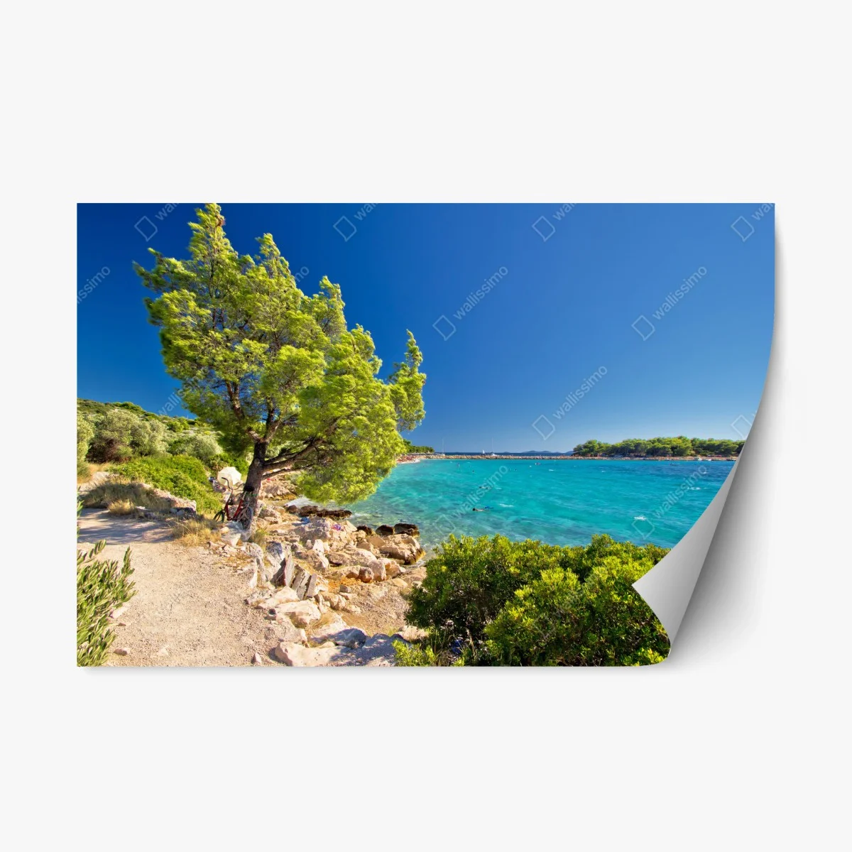 Repositionable sticker idyllic turquoise beach on Murter Island • Wallissimo® Repositionable sticker idyllic turquoise beach on Murter Island • Wallissimo®