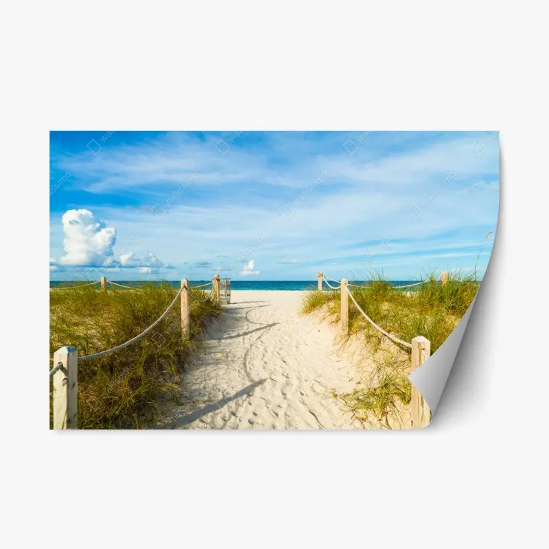 Repositionable sticker sandy path to the sea, Miami
