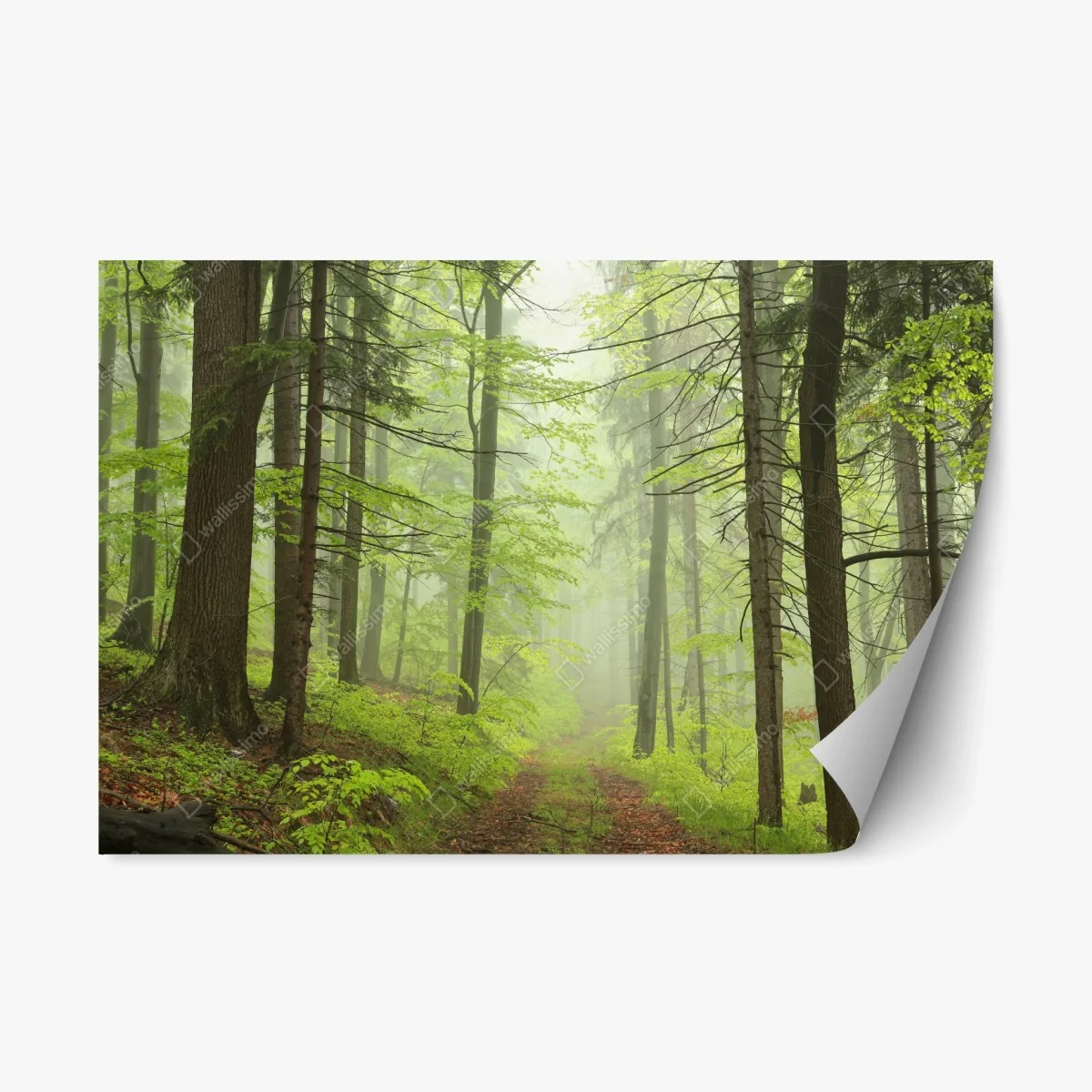 Repositionable sticker misty green forest trail ⁕ Wallissimo® Repositionable sticker misty green forest trail ⁕ Wallissimo®