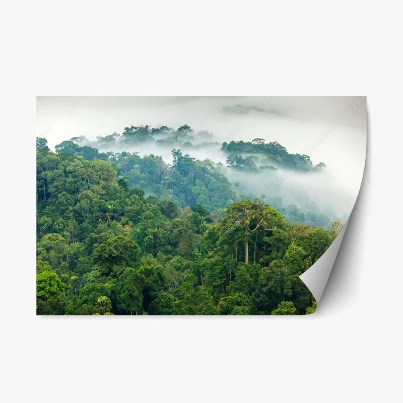 Repositionable sticker morning mist over Kaeng Krachan rainforest