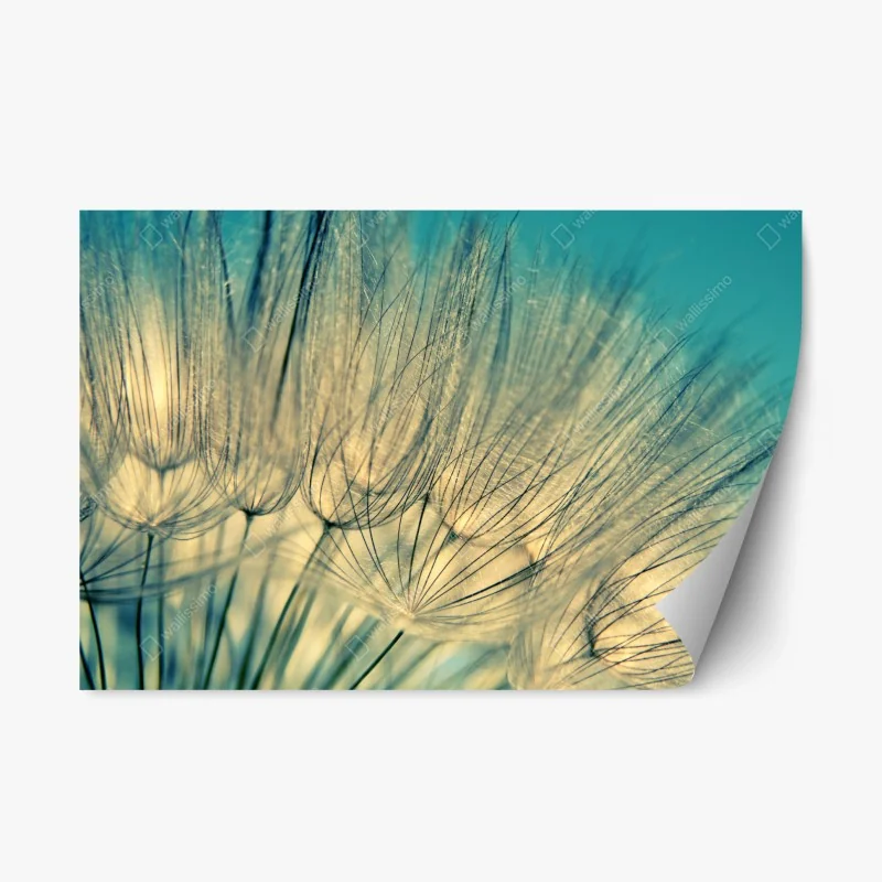 Repositionable sticker delicate dandelion close-up in soft blue
