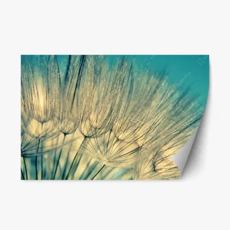 Repositionable sticker delicate dandelion close-up in soft blue • Wallissimo®