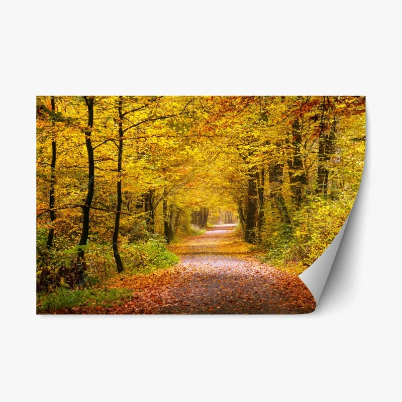 Repositionable sticker • Wallissimo®
