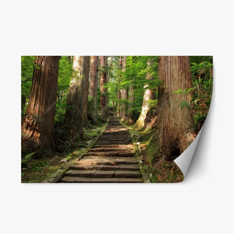 Repositionable sticker ancient forest stone steps