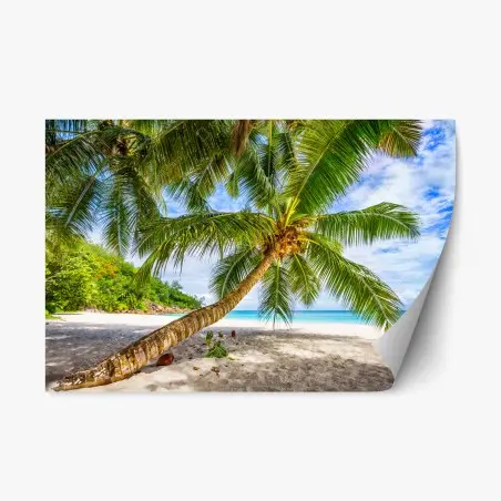 Repositionable sticker tropical palm on white sand beach • Wallissimo®