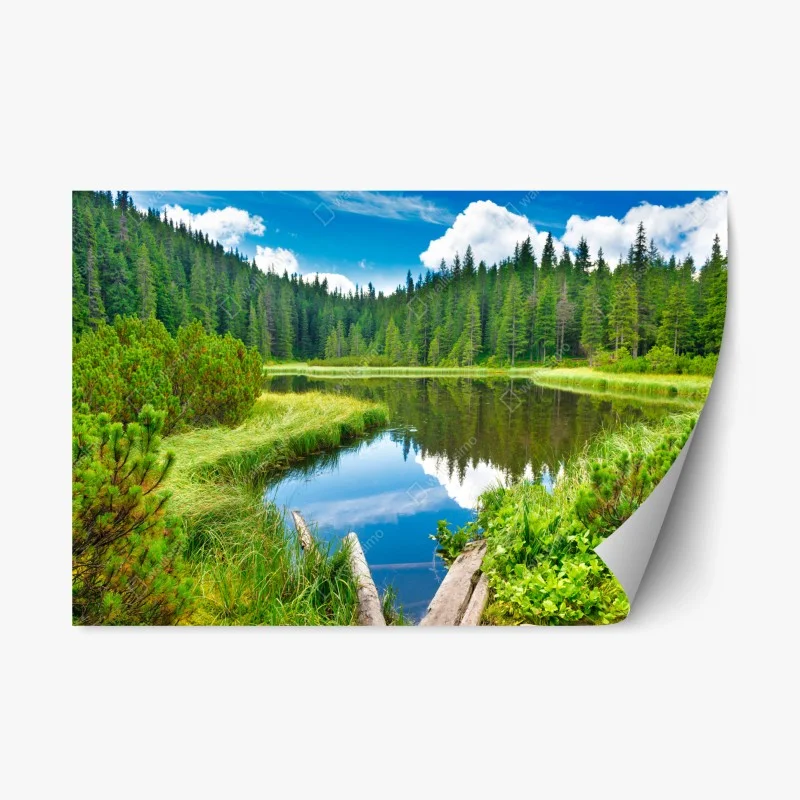 Repositionable sticker tranquil forest lake with wooden bridge