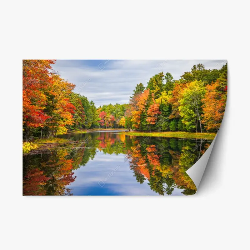 Repositionable sticker autumn reflections in New England