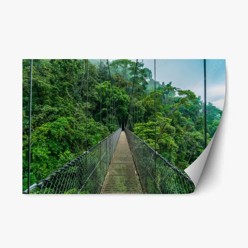 Repositionable sticker foggy suspension bridge leading into the woods • Wallissimo®