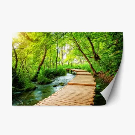 Repositionable sticker wooden boardwalk through Plitvice Lakes • Wallissimo®