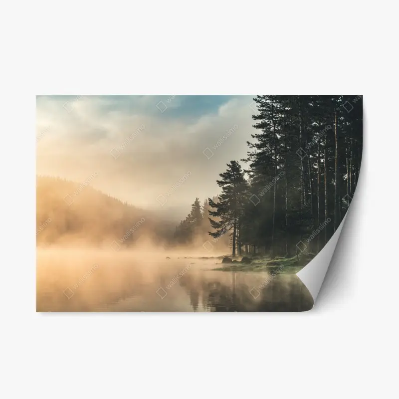Repositionable sticker misty sunrise over forest lake