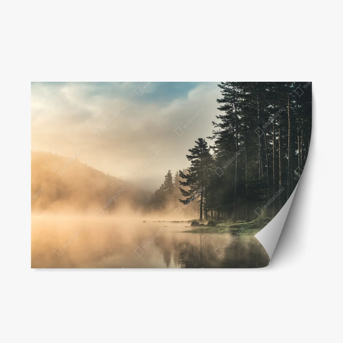 Repositionable sticker misty sunrise over forest lake • Wallissimo® Repositionable sticker misty sunrise over forest lake • Wallissimo®