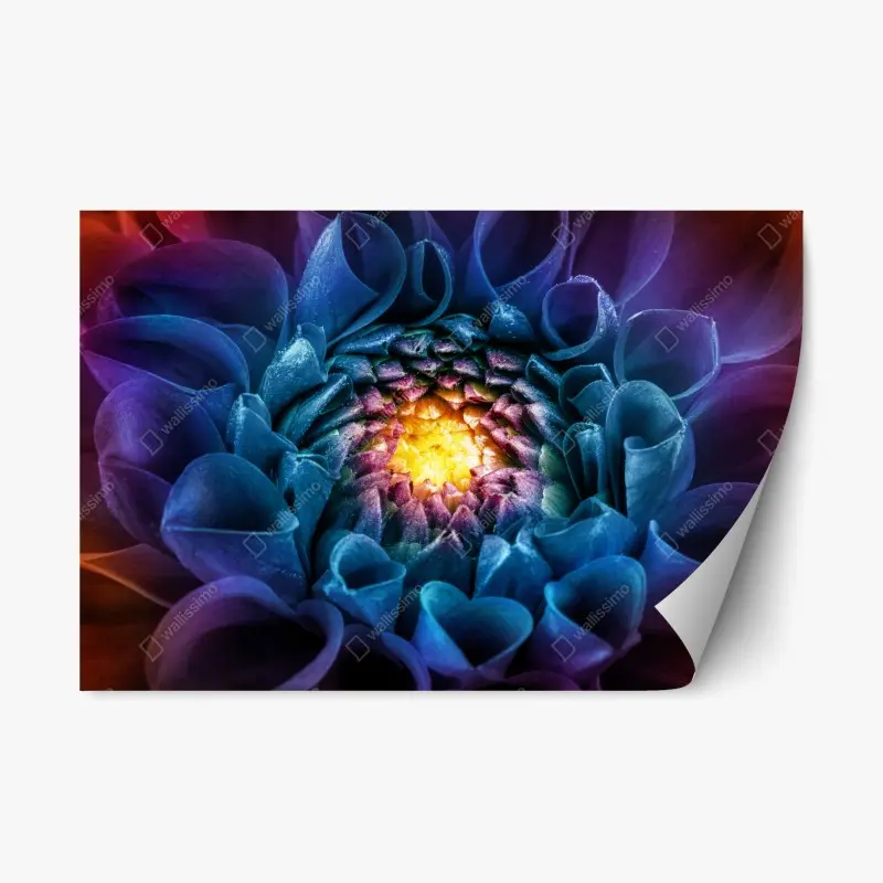 Repositionable sticker • Wallissimo®