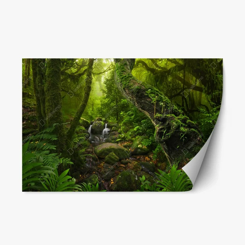 Repositionable sticker mossy forest stream at dawn