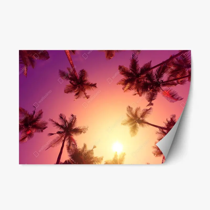 Repositionable sticker vivid tropical sunset with palm silhouettes