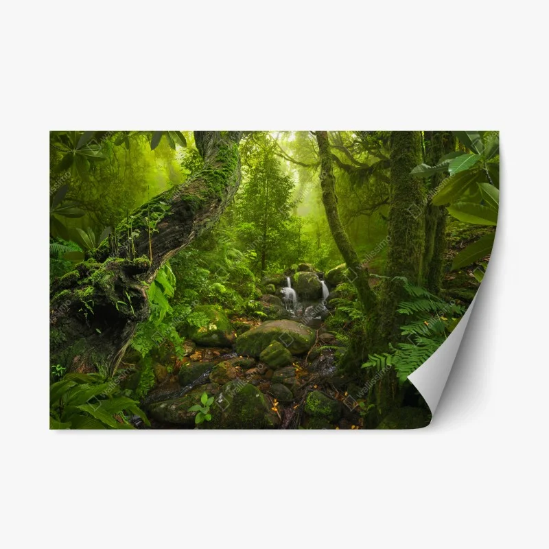 Repositionable sticker lush green forest stream