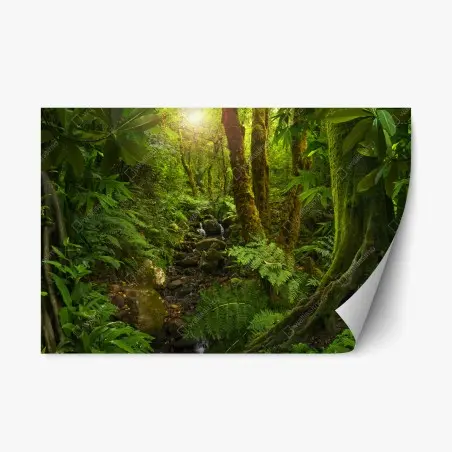Repositionable sticker mossy forest stream in sunlight • Wallissimo®