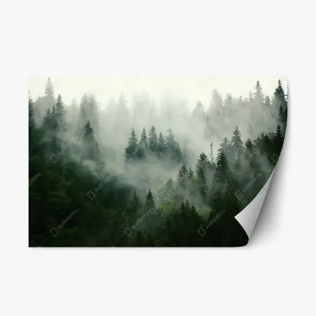 Repositionable sticker misty evergreen forest • Wallissimo®