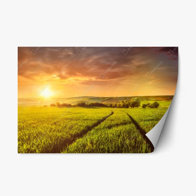 Repositionable sticker sunlit meadow at sunset