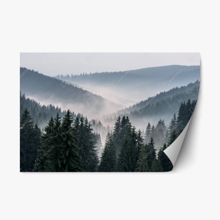 Repositionable sticker misty mountain forest panorama • Wallissimo®