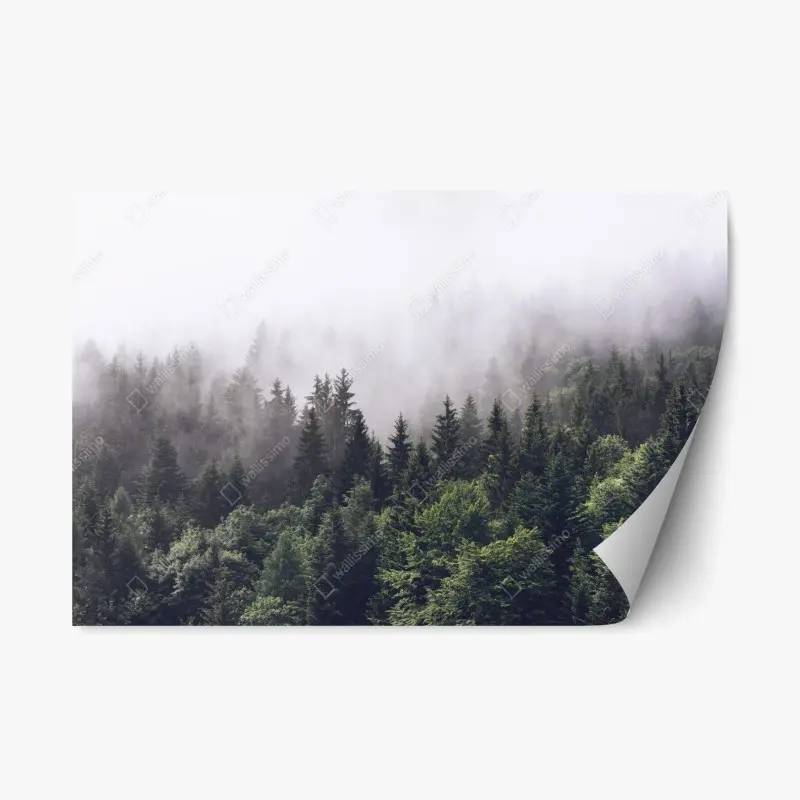 Repositionable sticker • Wallissimo®