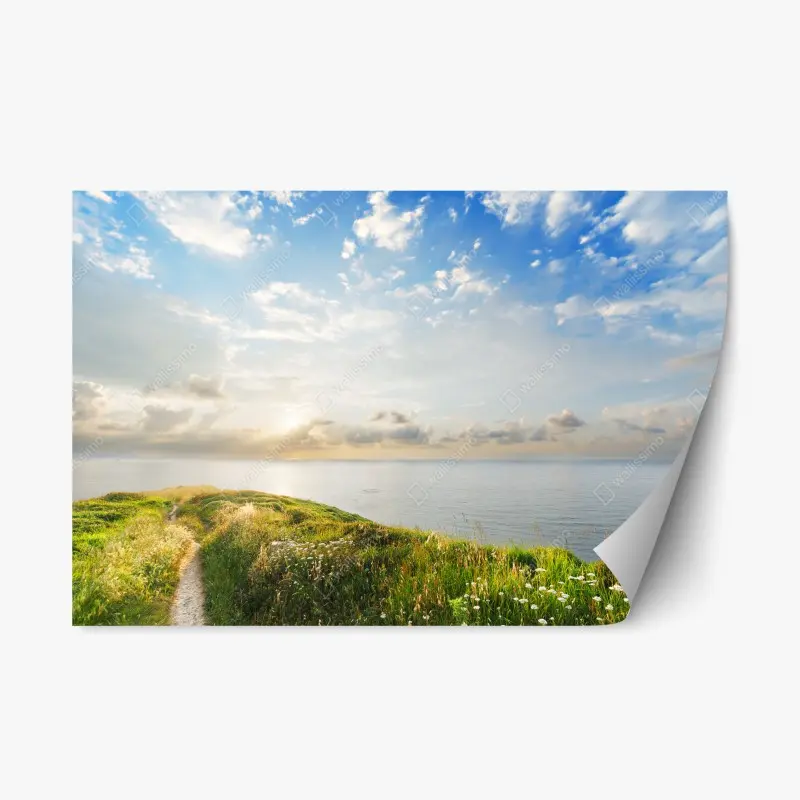 Repositionable sticker sunlit coastal path to the sea