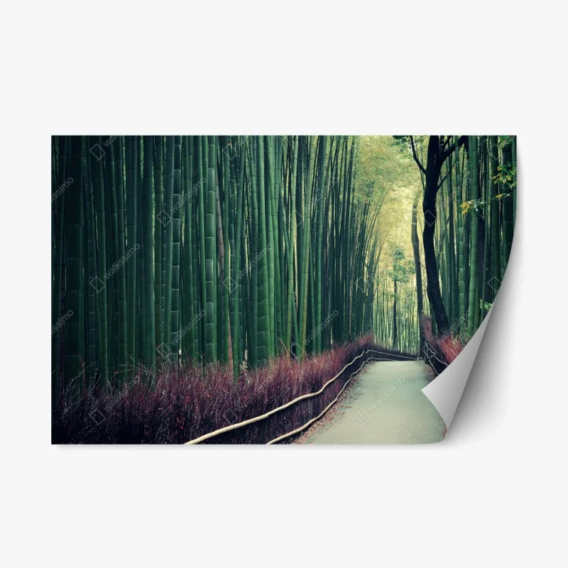 Repositionable sticker serene bamboo grove pathway in Arashiyama