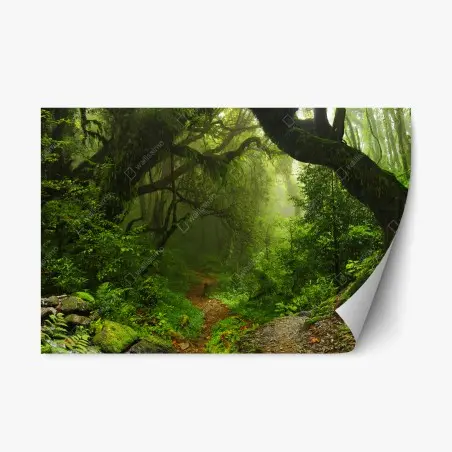Repositionable sticker enchanted mossy forest pathway • Wallissimo®