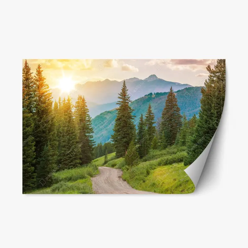 Repositionable sticker Colorado mountain sunrise trail
