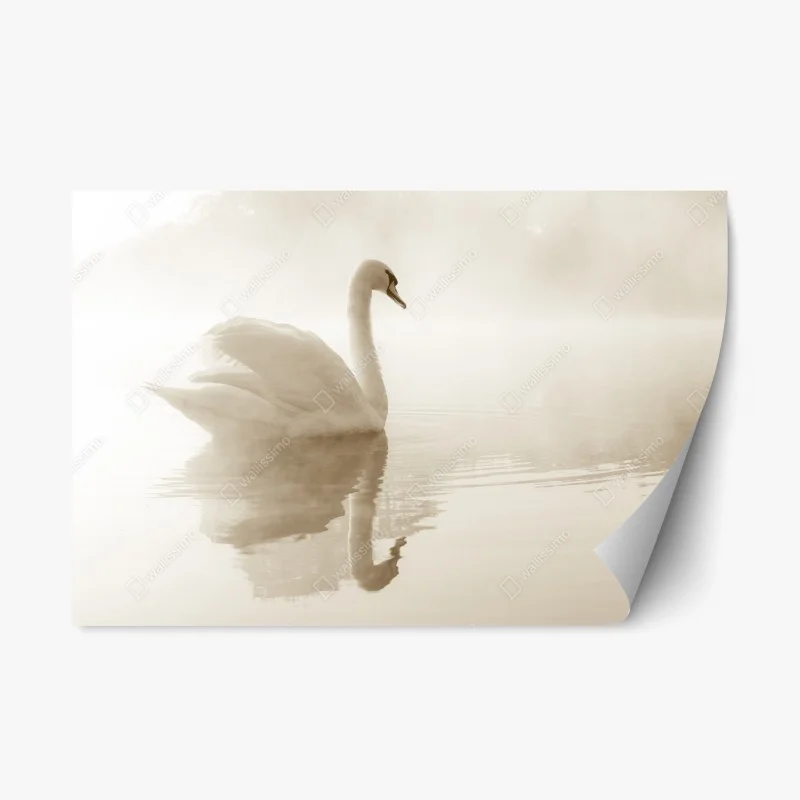 Repositionable sticker elegant swan in misty reflection