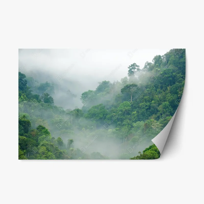 Repositionable sticker morning mist over Kaeng Krachan rainforest