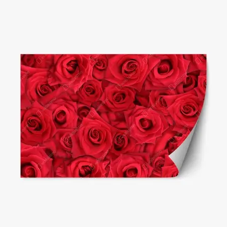 Repositionable sticker vibrant red roses collage • Wallissimo®