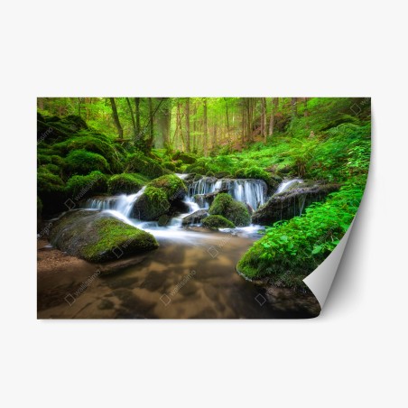 Repositionable sticker tranquil mossy forest waterfall • Wallissimo®