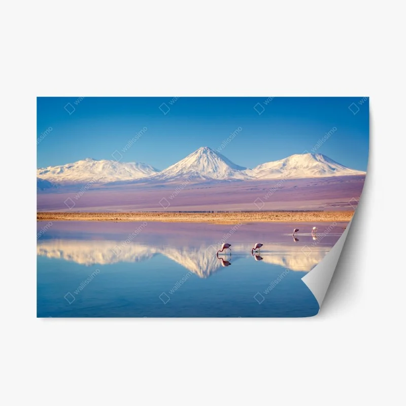 Repositionable sticker Laguna Chaxa with flamingos and Licancabur