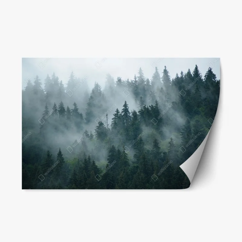 Repositionable sticker misty evergreen forest