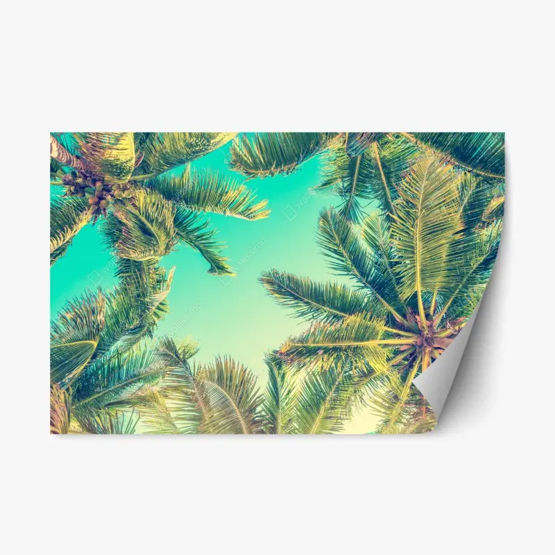 Repositionable sticker vintage turquoise palm canopy
