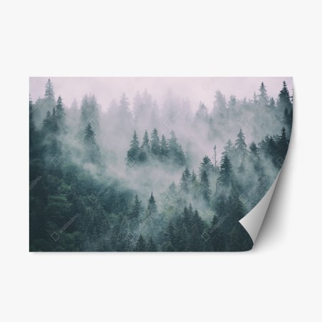 Repositionable sticker misty evergreen forest panorama • Wallissimo®