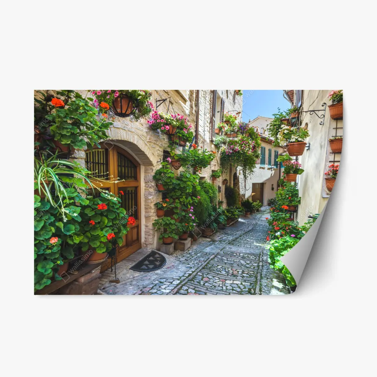 Repositionable sticker charming street in Spello, Italy ⁕ Wallissimo® Repositionable sticker charming street in Spello, Italy ⁕ Wallissimo®
