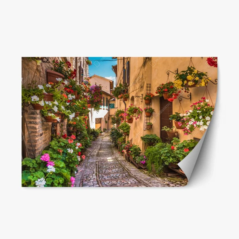 Repositionable sticker sunlit floral alley in Umbria