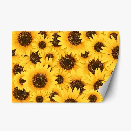 Repositionable sticker golden sunflower bloom pattern • Wallissimo®